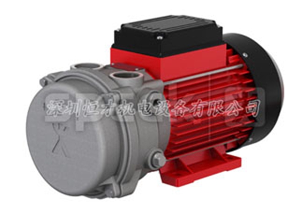 塑料成型中塑料擠出機(jī)用旋片真空泵 塑料成型中塑料擠出機(jī)用旋片真空泵